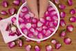 pedispa