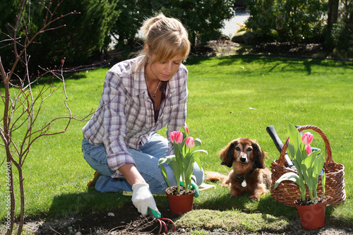 Foto: pretty gardener pretty gardener