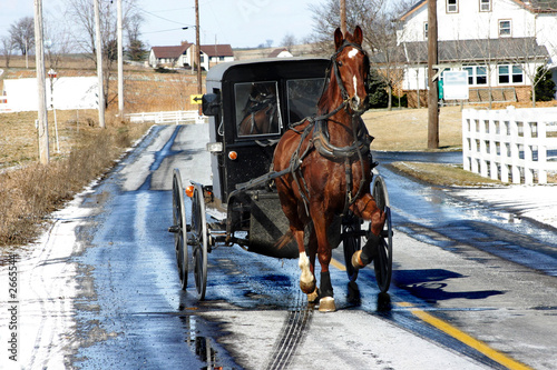 Photo: amish amish