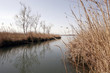 etang de camargue