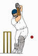 cricket batsman 2 cricket batsman 2