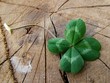 Luck