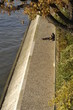 paris quai
