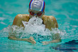 swimmer