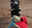 matador