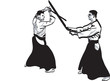 aikido aikido