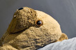 ours peluche enfant maltraité violence parentale ours peluche enfant maltraité violence parentale