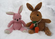 snow hares