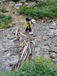 hiker crossing stream