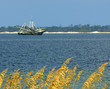 shrimp boat