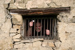 prisoner