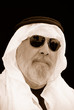 a portrait of the sheik at the beach