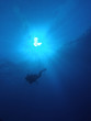 diver in the blue