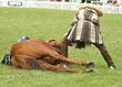 hoof inspection