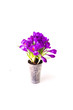 crocus bouquet crocus bouquet