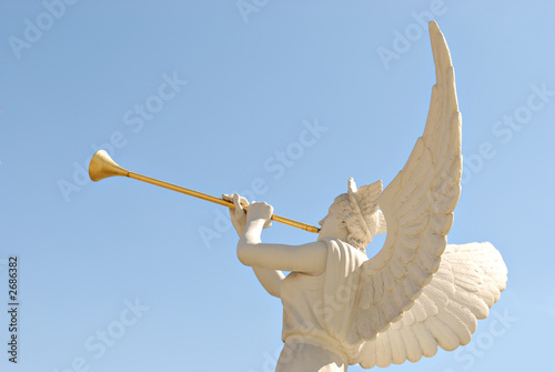 Photo: angel angel