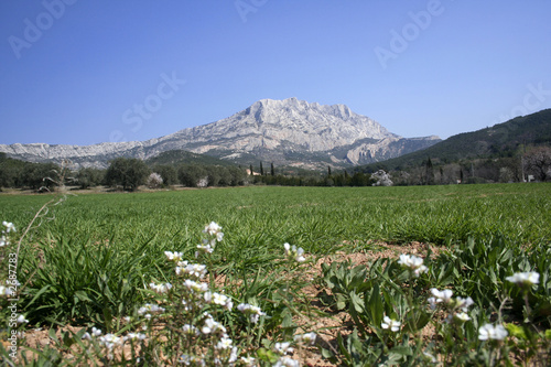 la sainte victoire au printemps