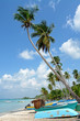 tropical paradise