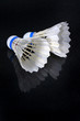shuttlecock and badminton