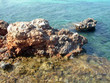 stony shore