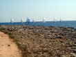sailing on the sea