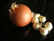 culinary onions