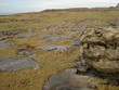 rocky coast