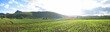 flashy green ricefields of the valley, kalaw, myanmar, panorama