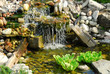 pond pond
