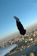 building base jump in shanghai