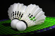 shuttlecock and badminton