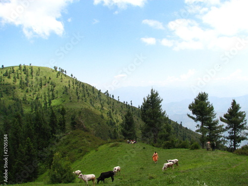 trekking trekking