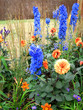 colorful flowers