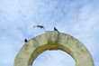 l'arche aux pigeons l'arche aux pigeons