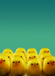 easter chicks easter chicks