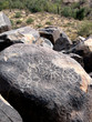 Foto: petroglyphs petroglyphs