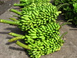 bananen  amazonas - brasil