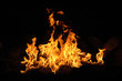 campfire wth billowing flames