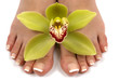 feet and orchid