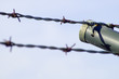 Foto: barbed wire barbed wire