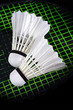 shuttlecock and badminton