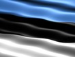 flag of estonia flag of estonia