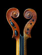fiddle