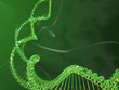 Illustration: catena dna catena dna