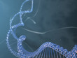catena dna