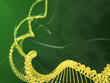 catena dna
