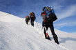 alpine walk