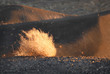 sage brush illuminated by rising sun in death valley california