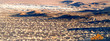 sage brush field in morning light in death valley california
