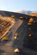 pathway leading to the rim of a volcano crater in death valley c